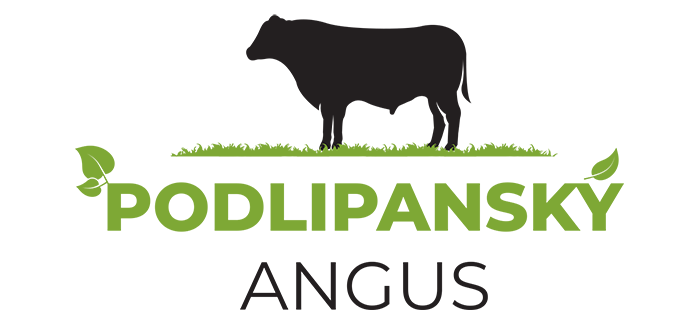 Podlipanský angus